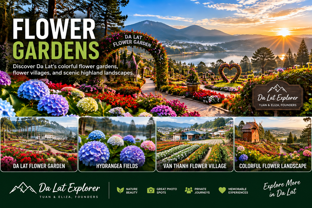 Da Lat Explorer Flower Gardens Experience featuring colorful flower gardens, hydrangea fields, Van Thanh Flower Village, and scenic Da Lat highland landscapes